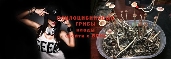 амф Алексин