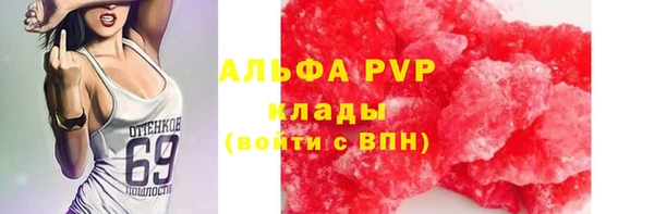 PSILOCYBIN Россошь