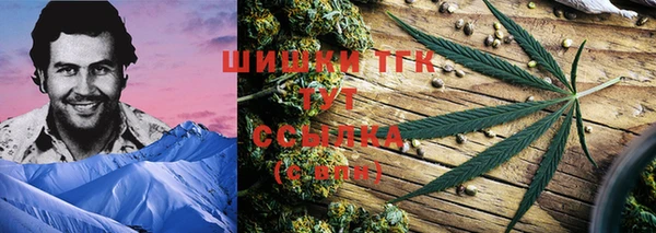 PSILOCYBIN Россошь