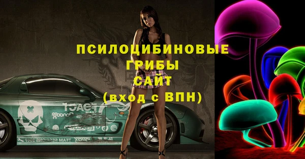 амф Алексин